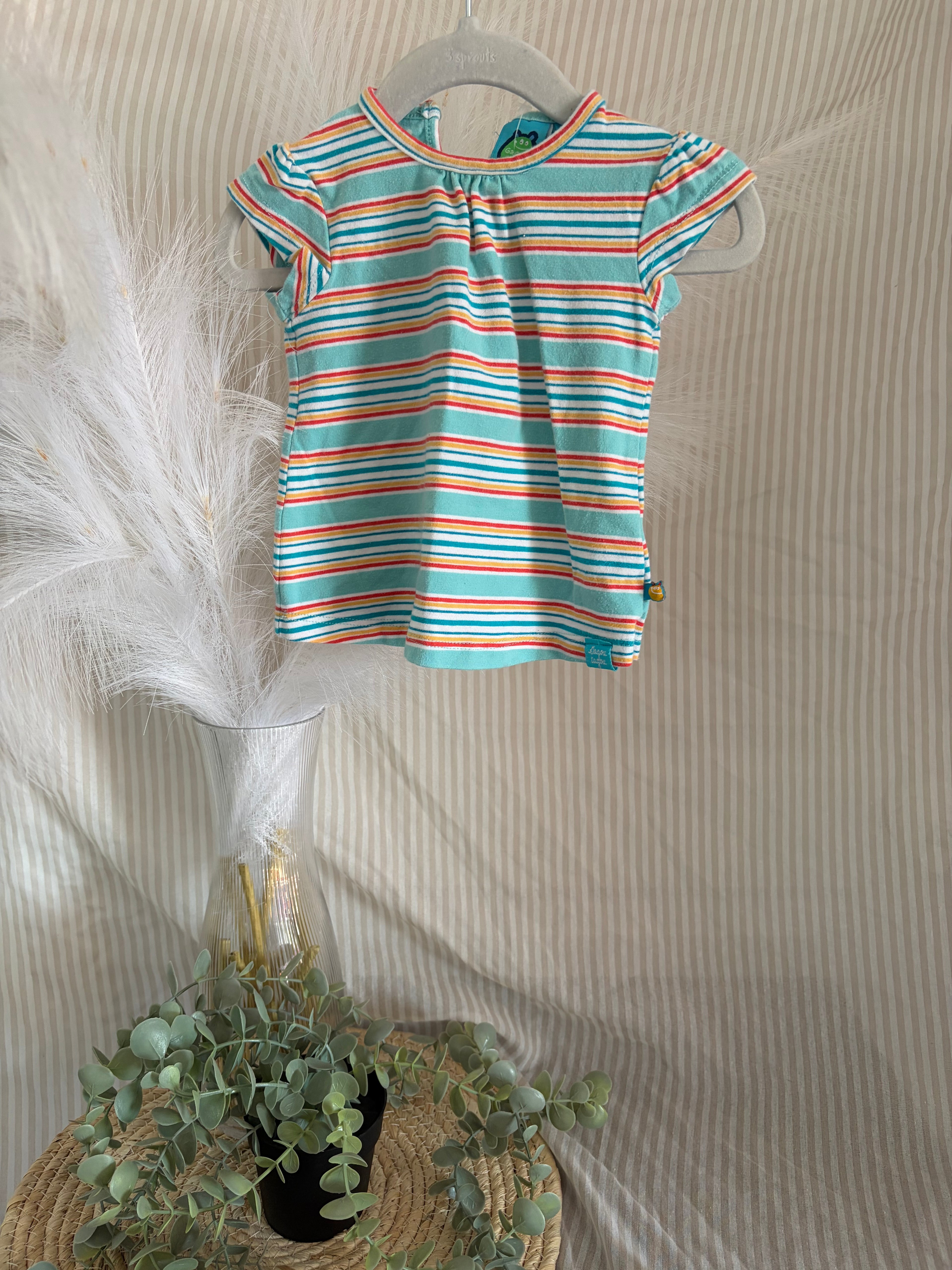 t-shirt (9m)