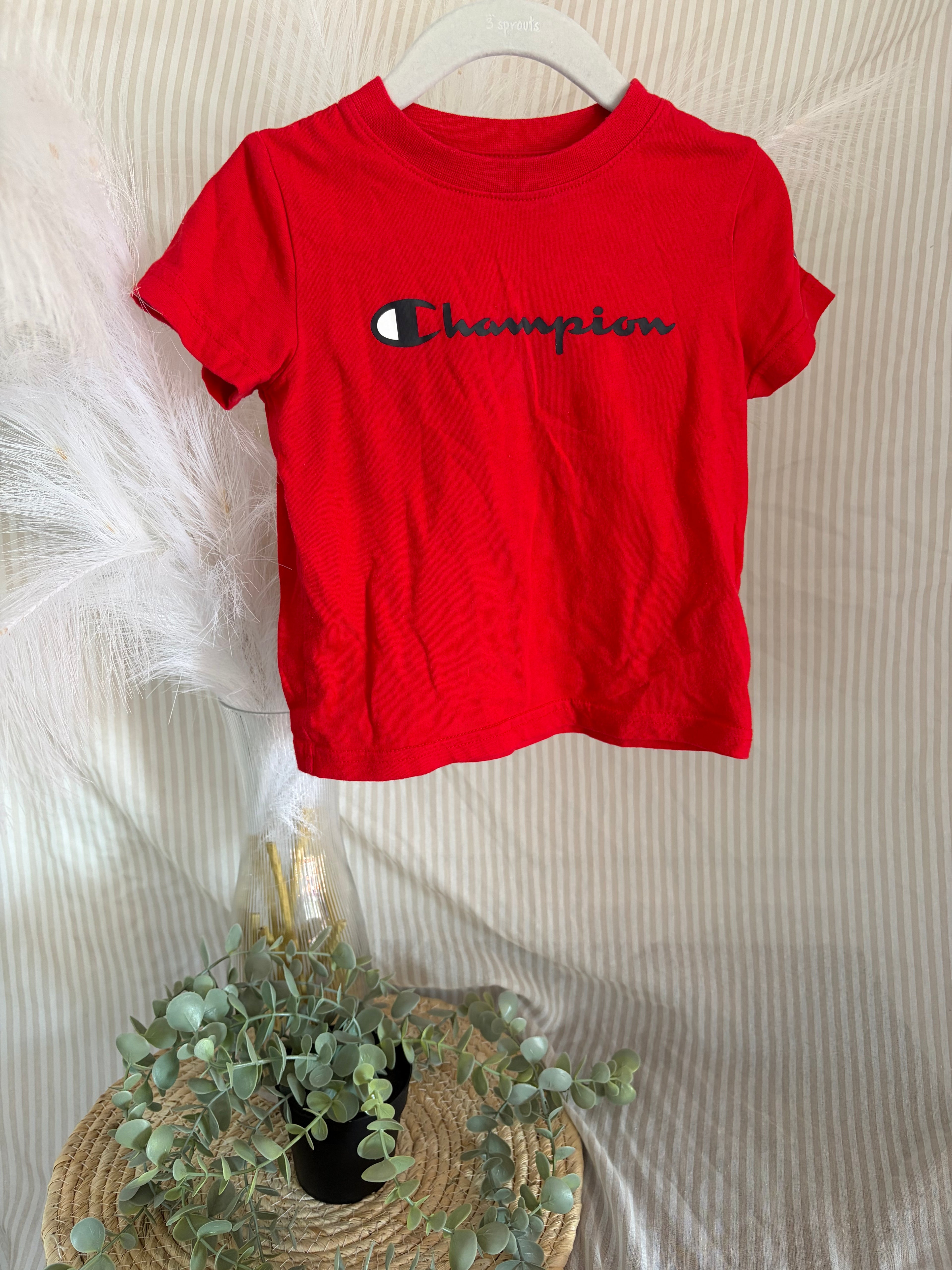 t-shirt (18m)