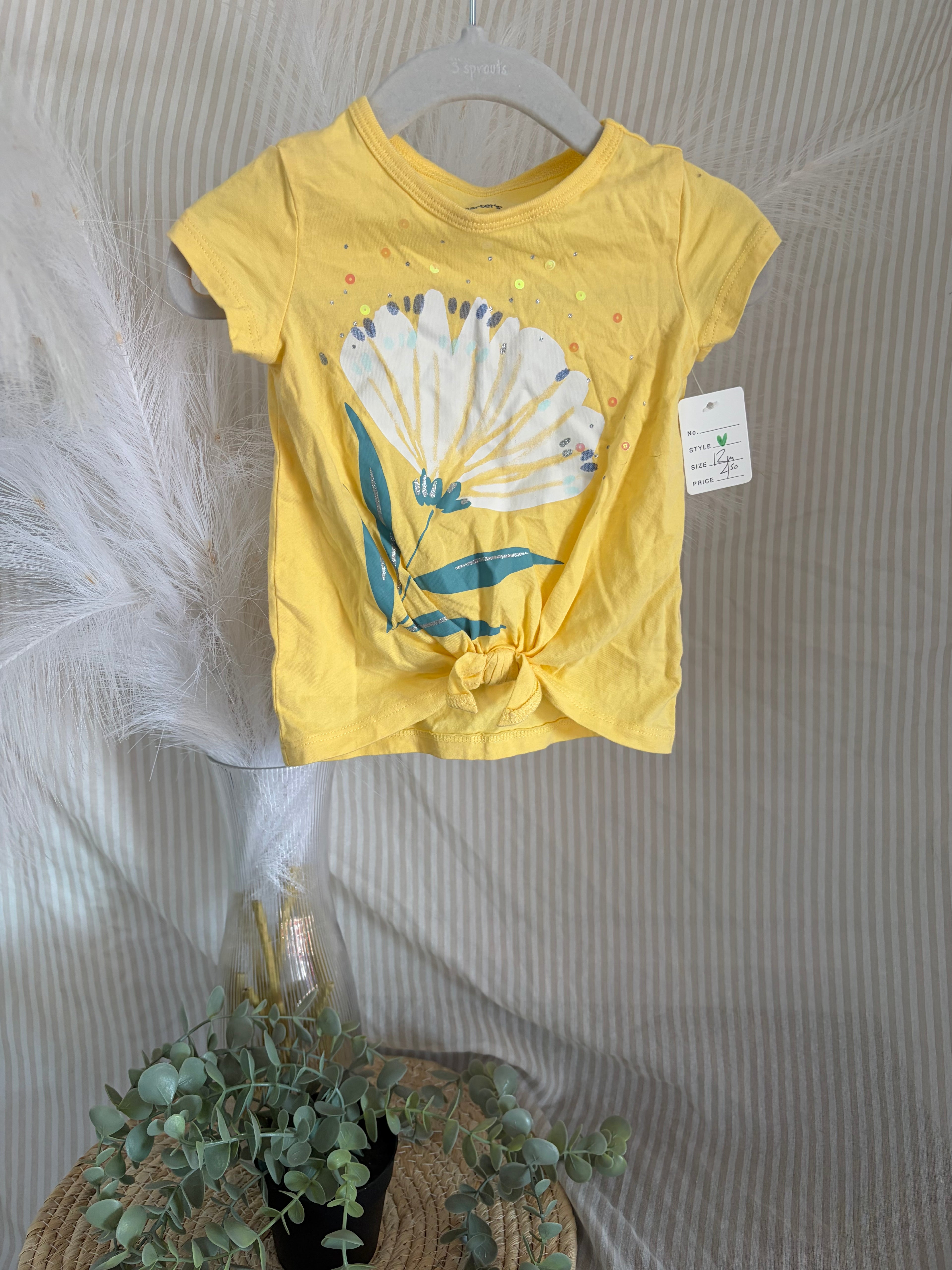 t-shirt (12m)
