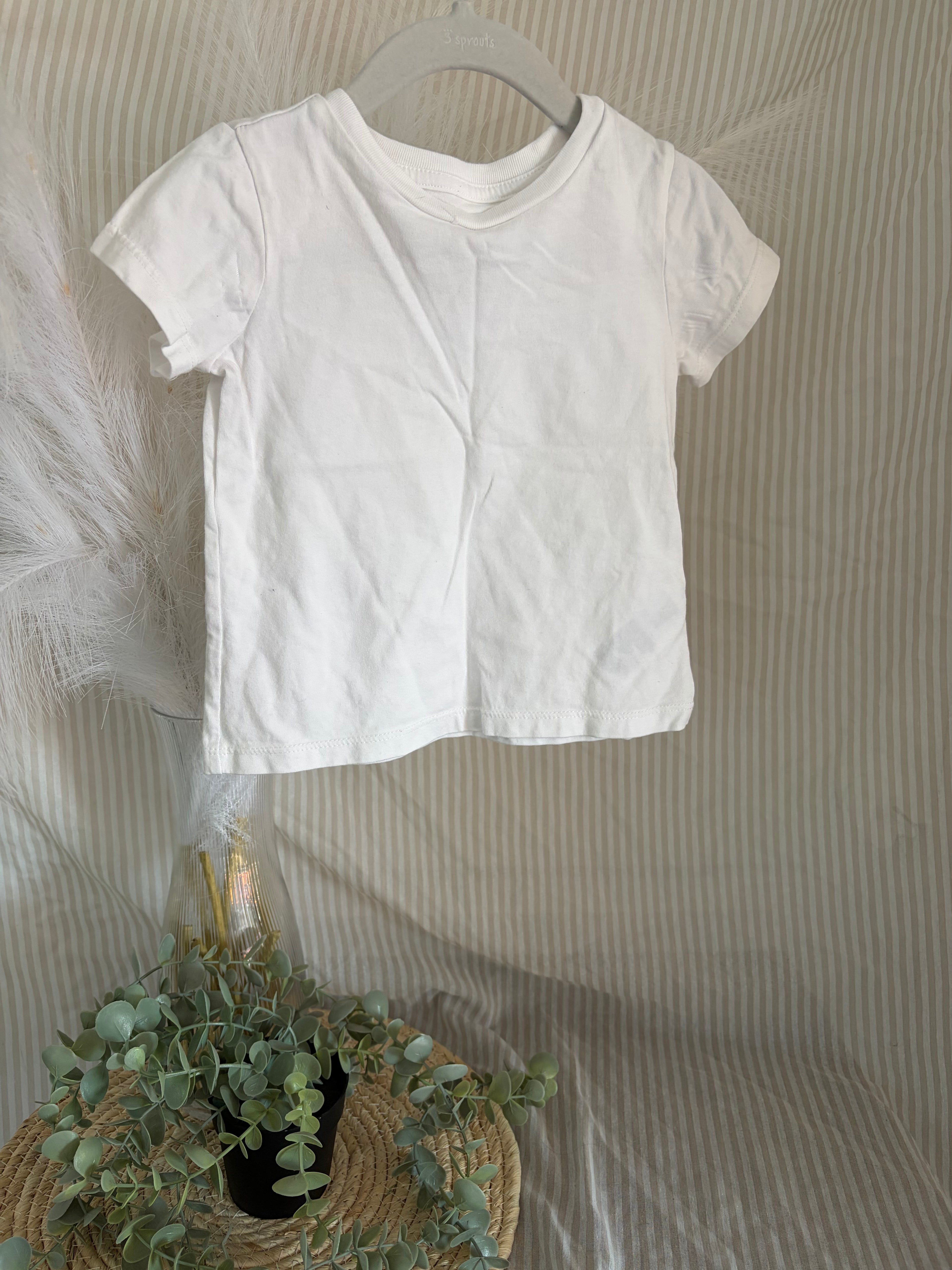 t-shirt (12m)
