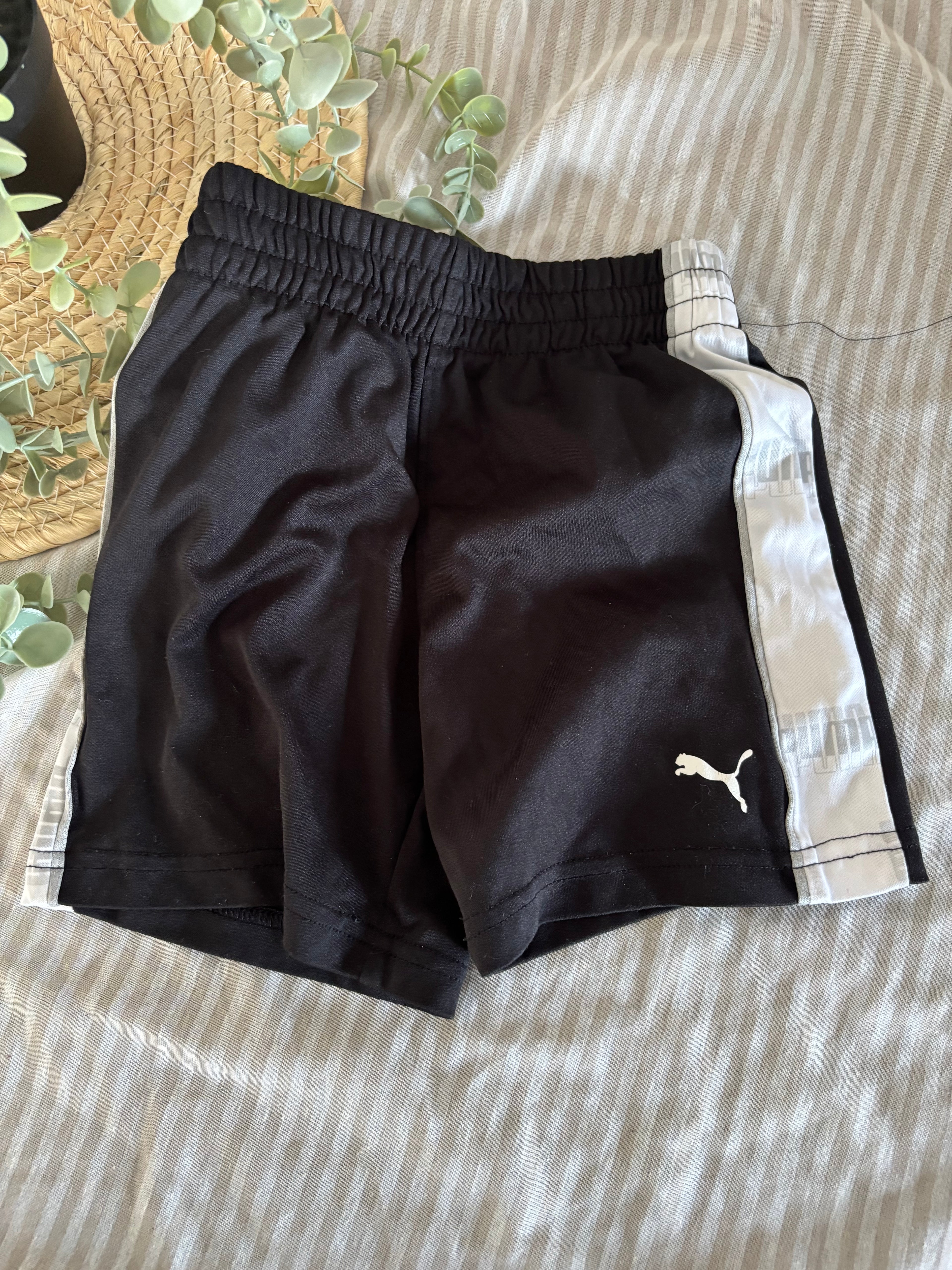 Short Puma (24m)