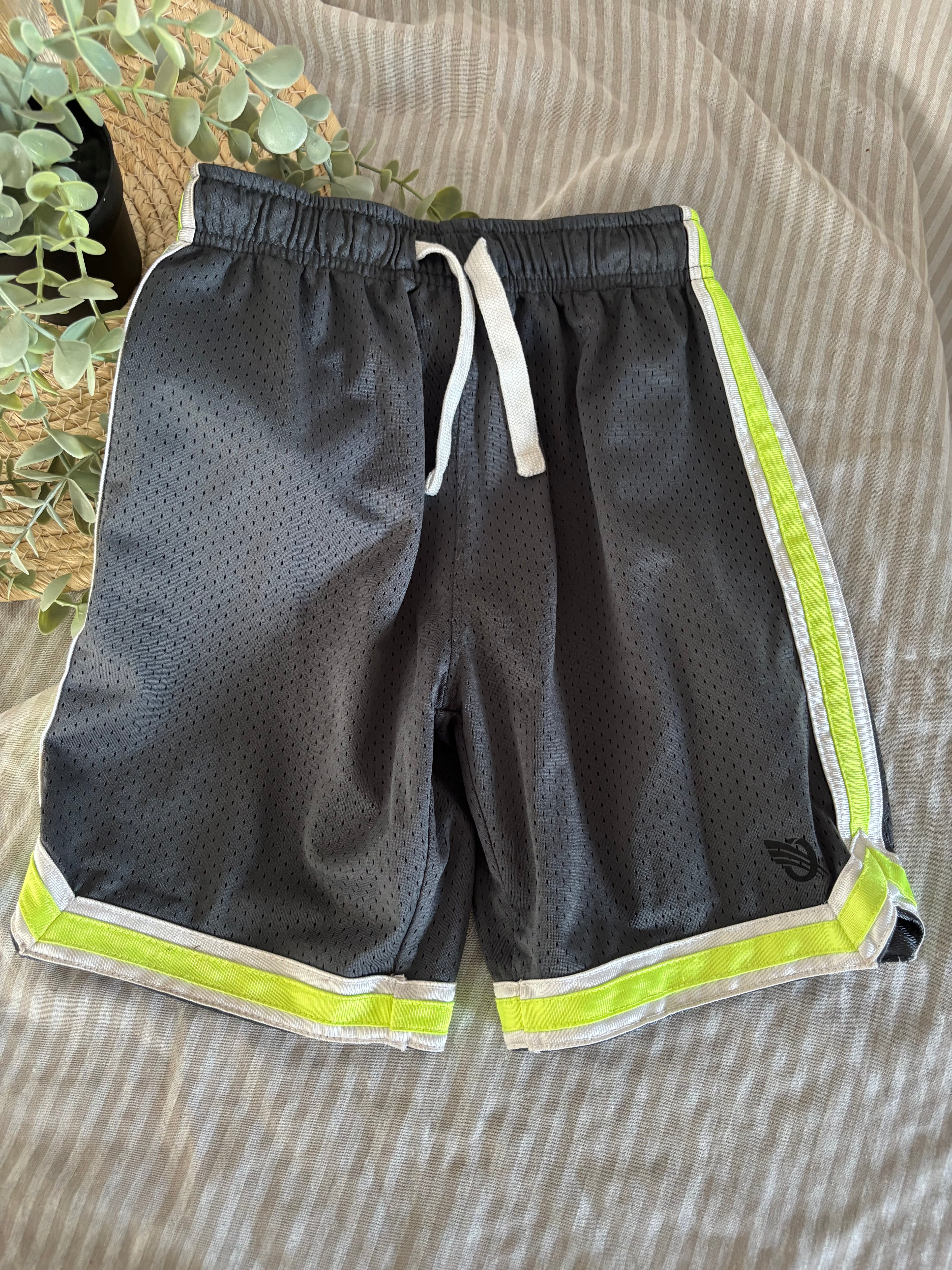 Short (6-7t)