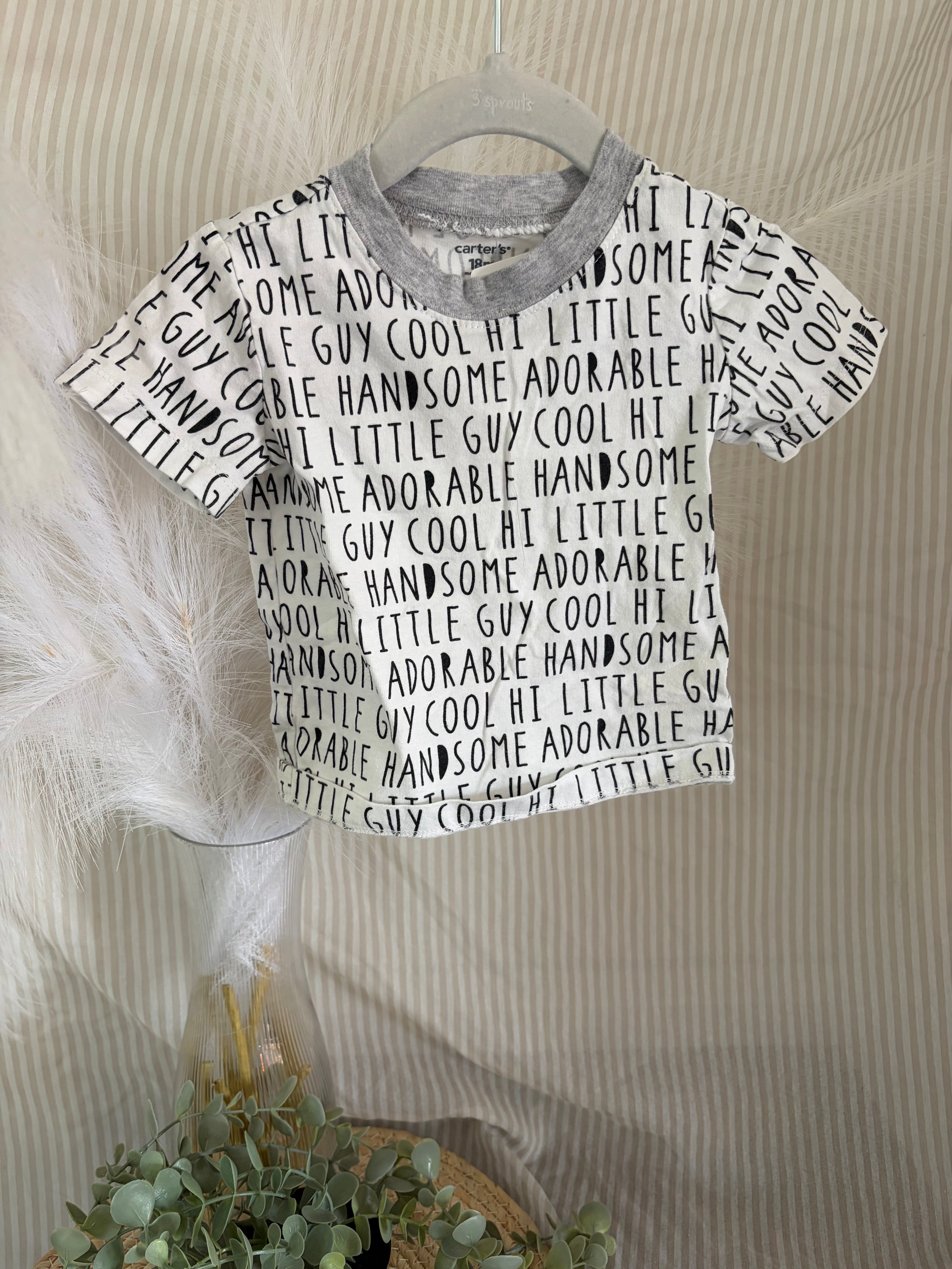 t-shirt (18m)
