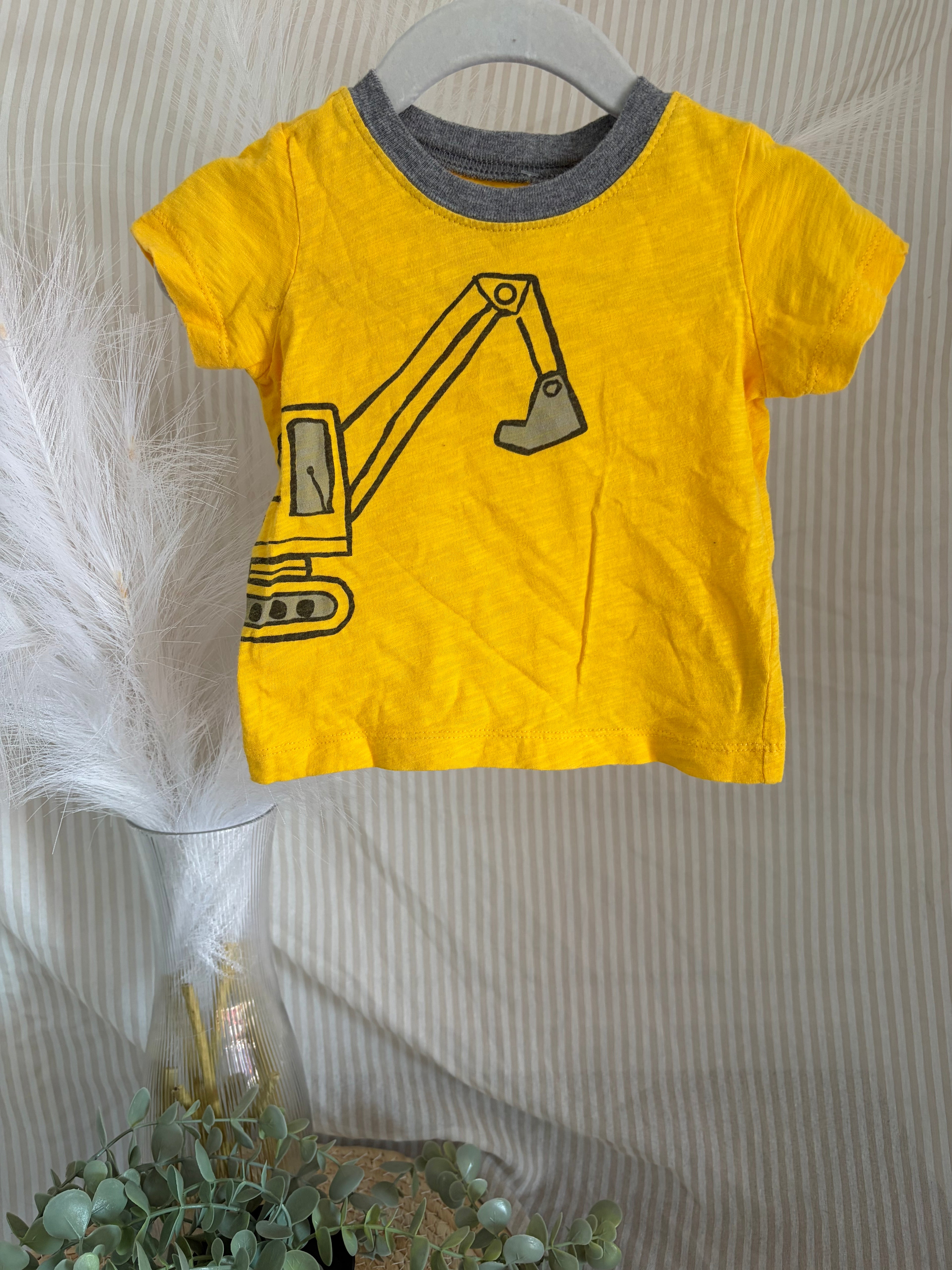 t-shirt (9m)