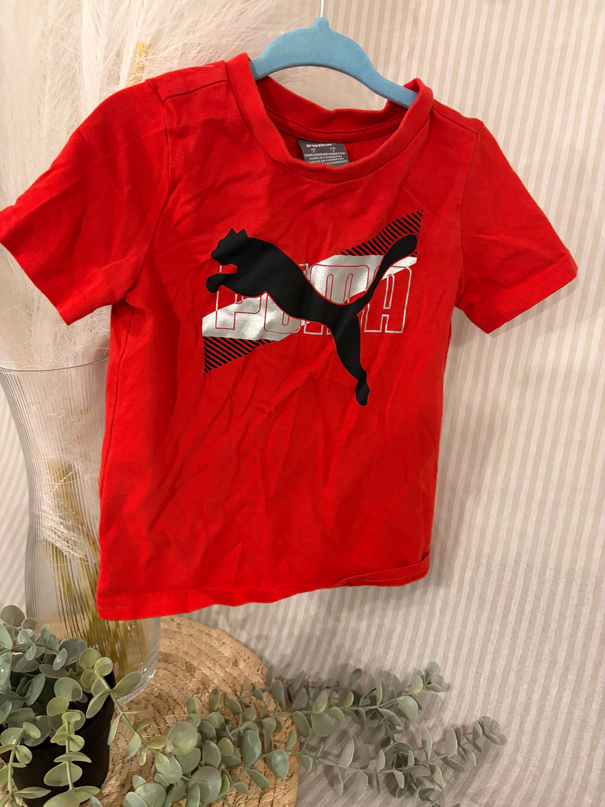 t-shirt (2T)