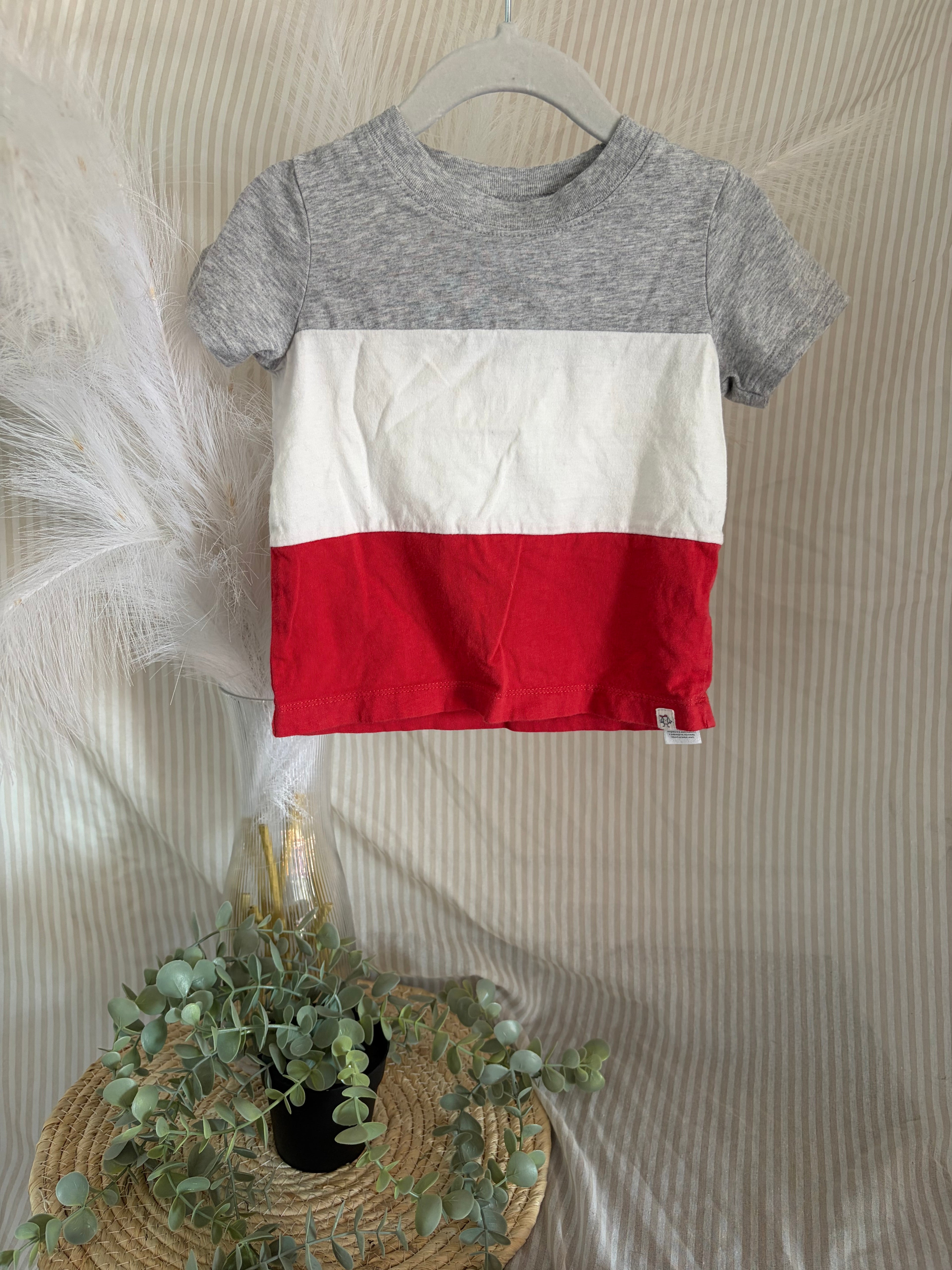 t-shirt (24m)