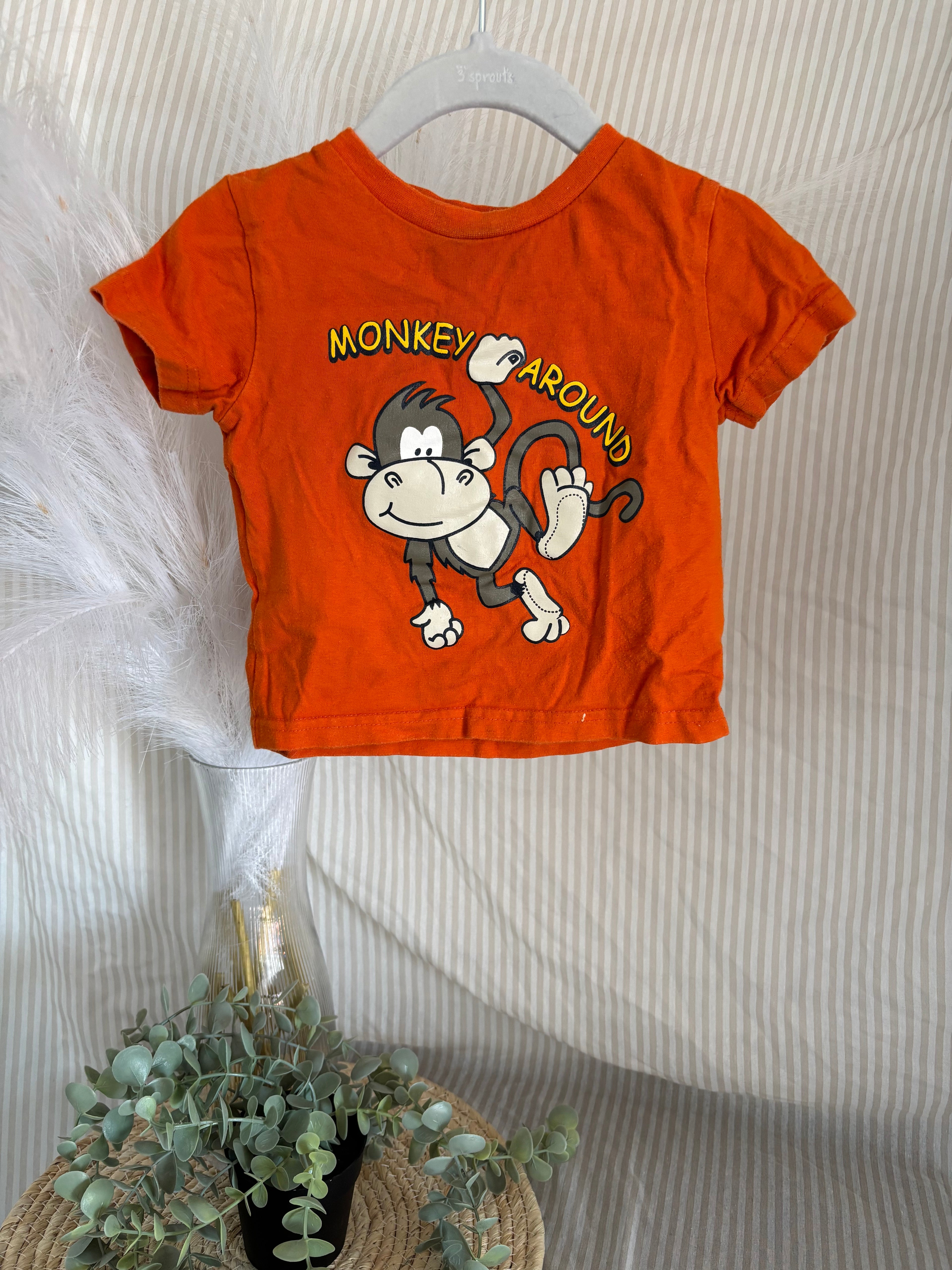 T-shirt (12m)
