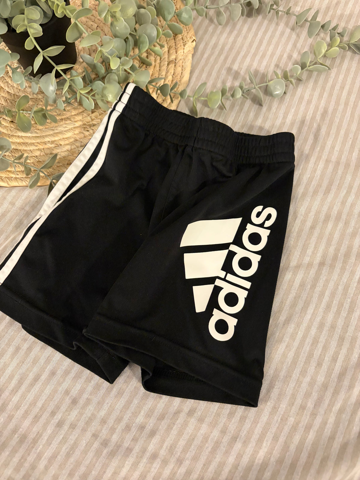 short adidas (2T)